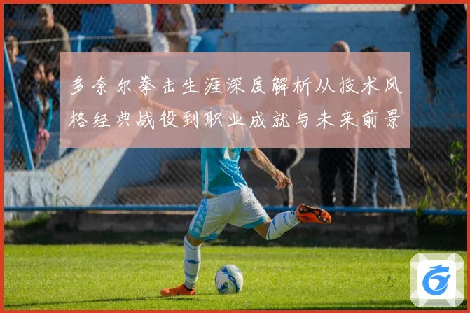 多奈尔拳击生涯深度解析从技术风格经典战役到职业成就与未来前景展望
