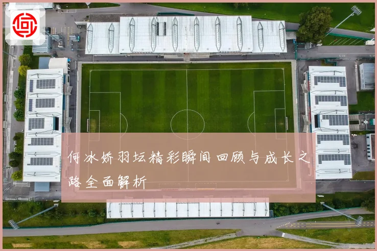 何冰娇羽坛精彩瞬间回顾与成长之路全面解析