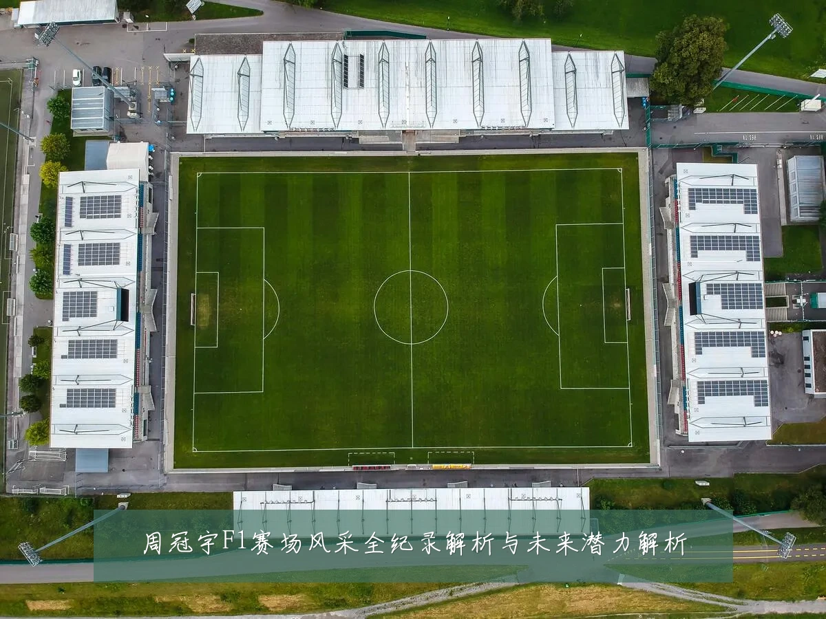 周冠宇F1赛场风采全纪录解析与未来潜力解析
